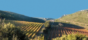 Gîte dans ancienne bergerie en pleine garrigue